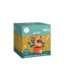 BOX 16 CAPSULE YMALA DOLCE GUSTO CAPPUCCINO AL BISCOTTO